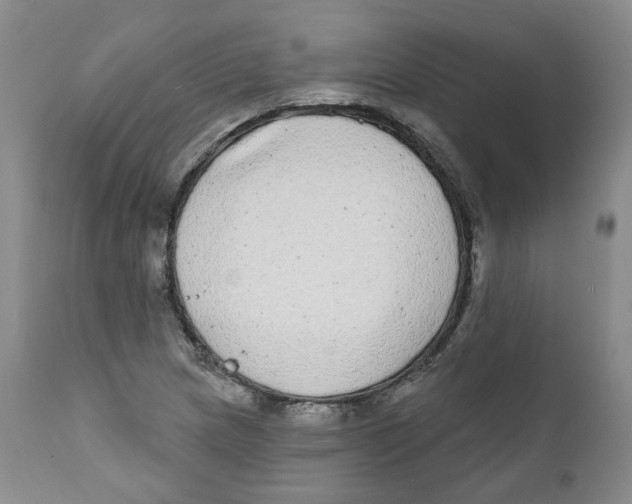 X0000112361217200909101248