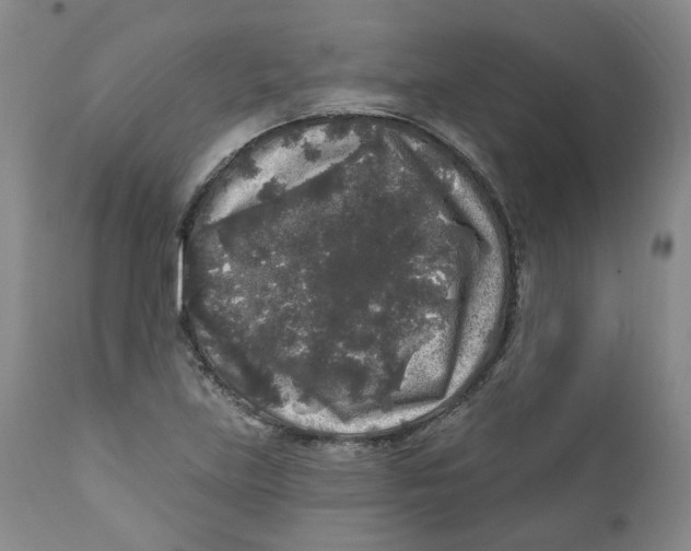 X0000112361219200909101248