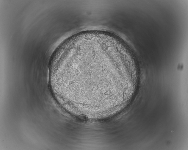 X0000112361221200909101248