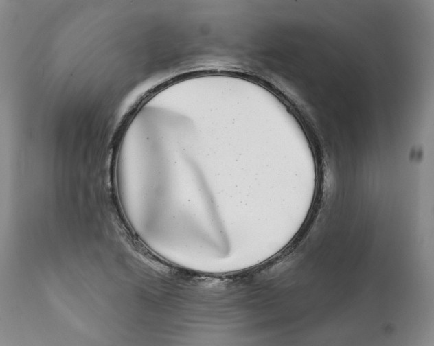 X0000112361222200909101248