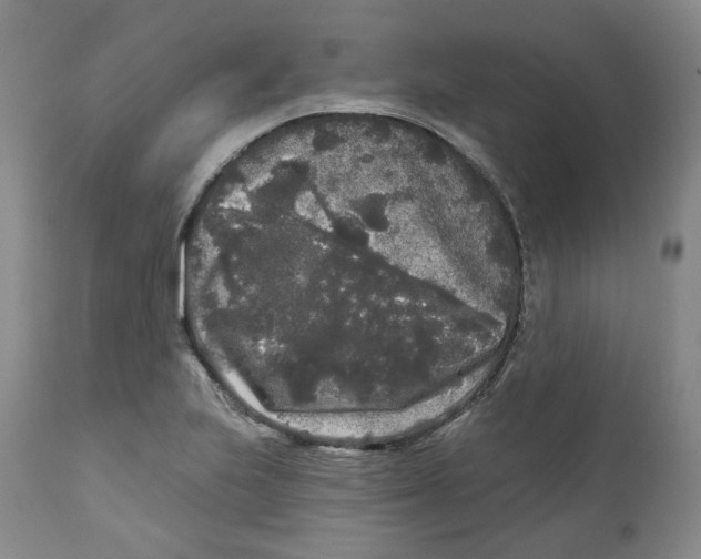 X0000112361223200909101248