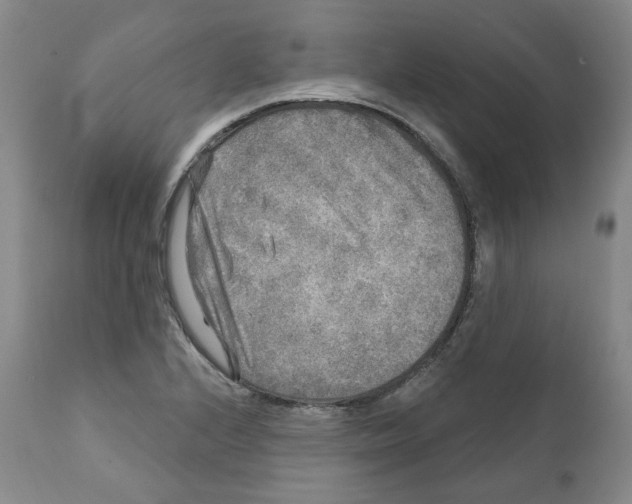 X0000112361224200909101248