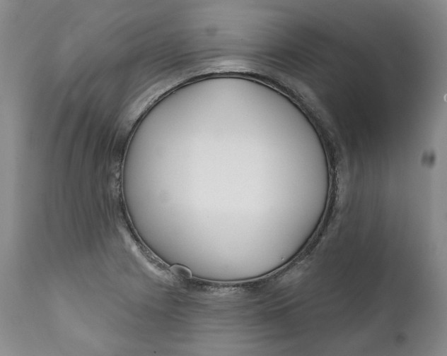 X0000112361225200909101248