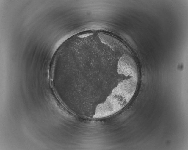 X0000112361226200909101248