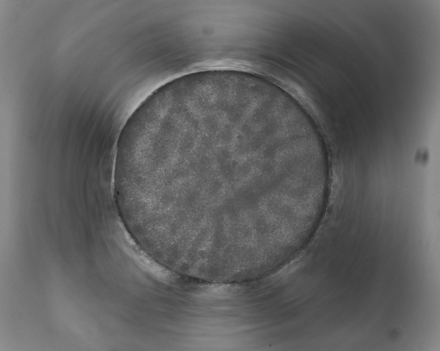 X0000112361228200909101248