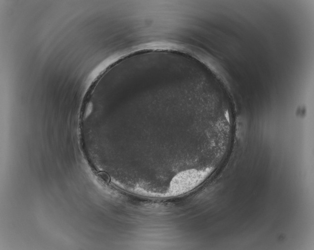 X0000112361229200909101248