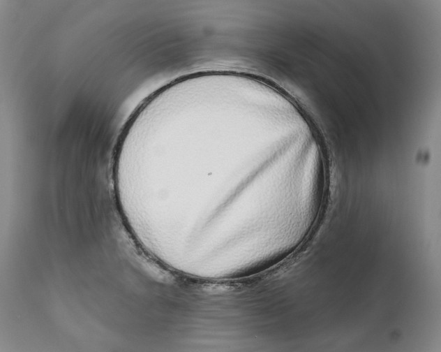 X0000112361230200909101248