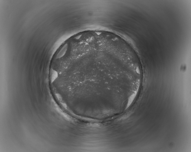 X0000112361231200909101248