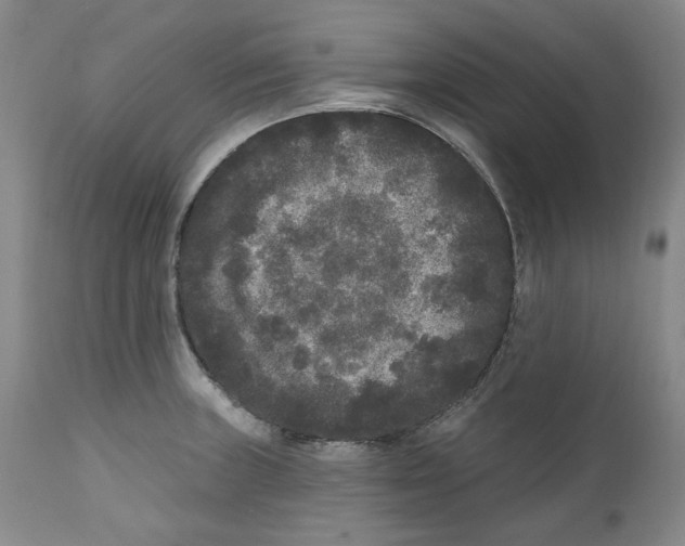 X0000112361235200909101248