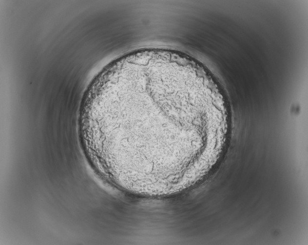 X0000112361237200909101248