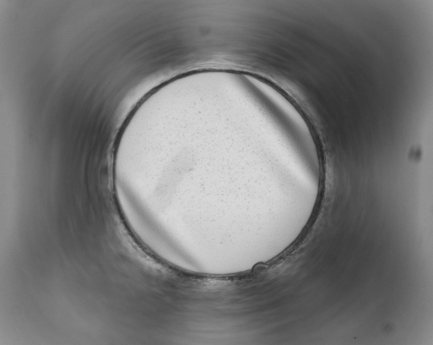 X0000112361238200909101248