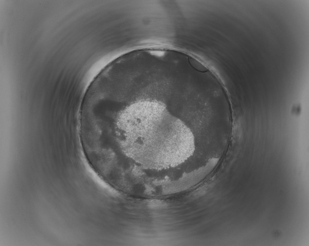 X0000112361239200909101248