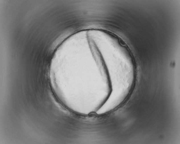 X0000112361241200909101248
