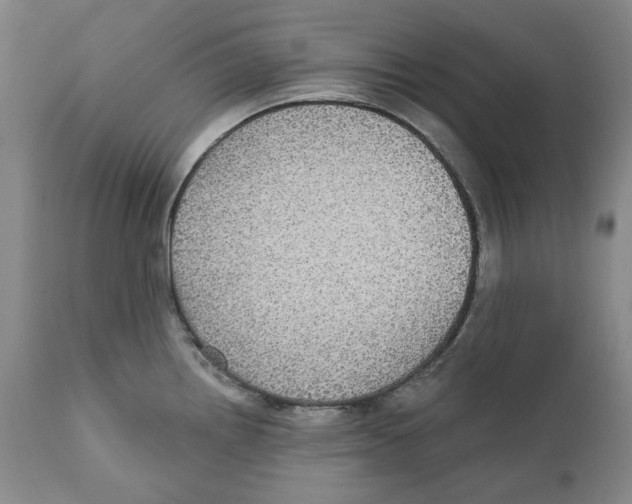 X0000112361242200909101248