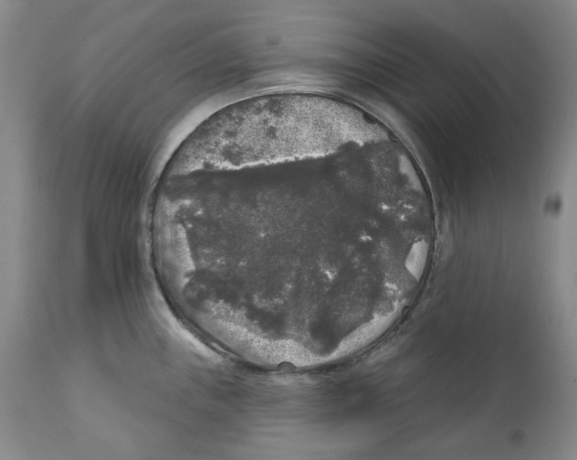 X0000112361243200909101248