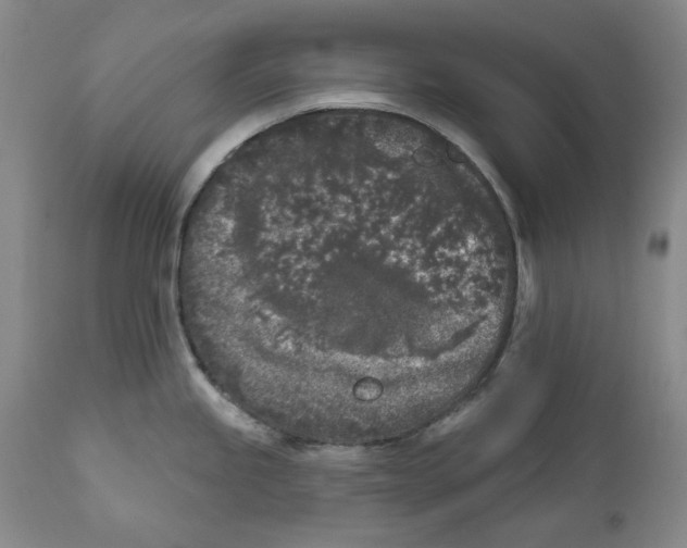 X0000112361245200909101248