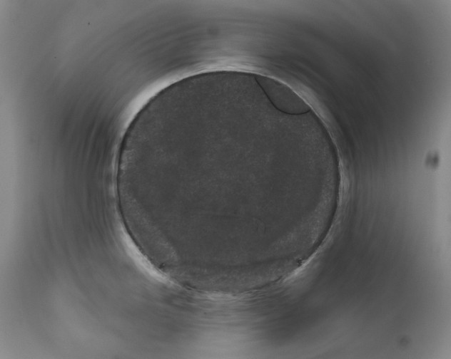 X0000112361246200909101248