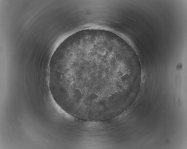 X0000112361247200909101248