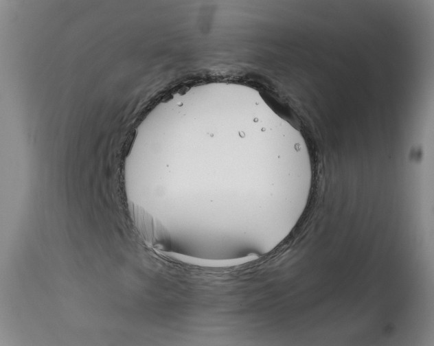 X0000112361249200909101248