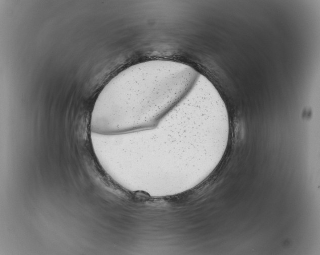 X0000112361250200909101248