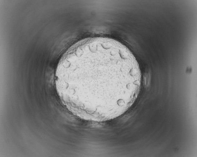 X0000112361251200909101248