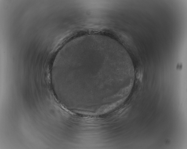 X0000112361252200909101248