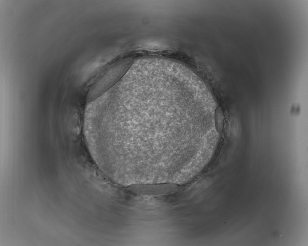 X0000112361253200909101248