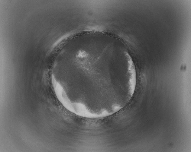 X0000112361254200909101248