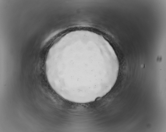 X0000112361255200909101248
