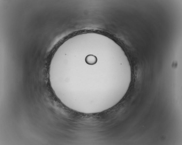 X0000112361256200909101248