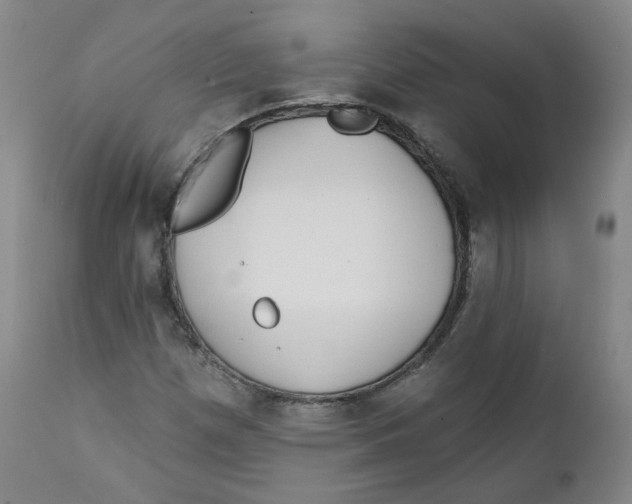 X0000112361257200909101248