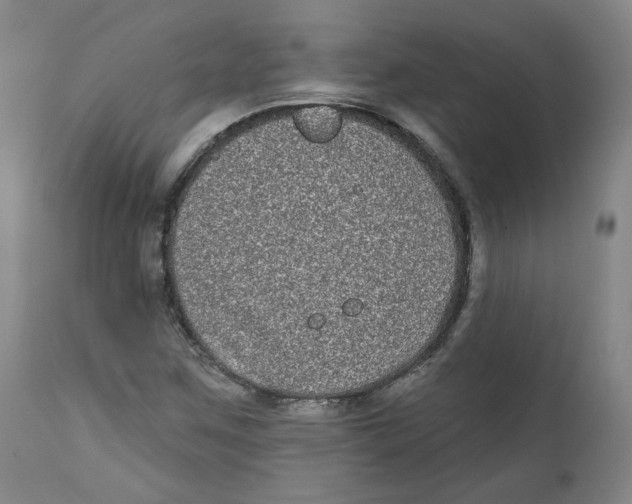X0000112361259200909101248