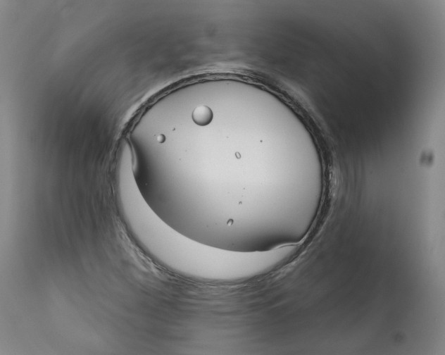 X0000112361260200909101248