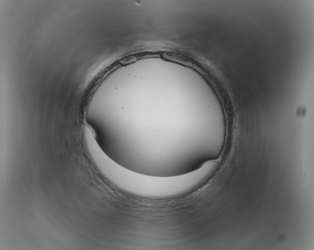 X0000112361261200909101248