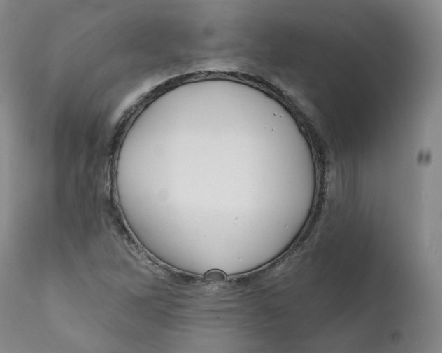 X0000112361262200909101248