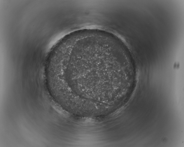 X0000112361263200909101248