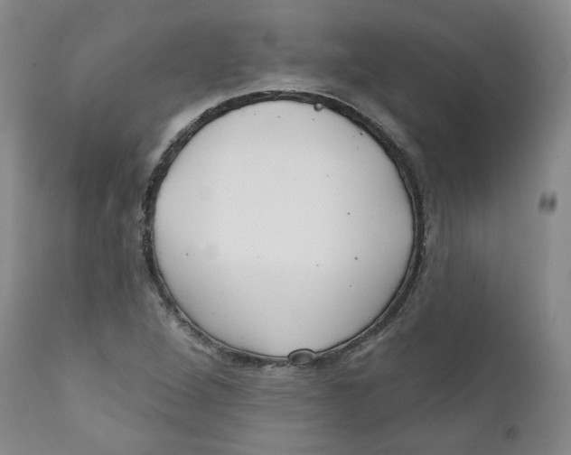 X0000112361264200909101248