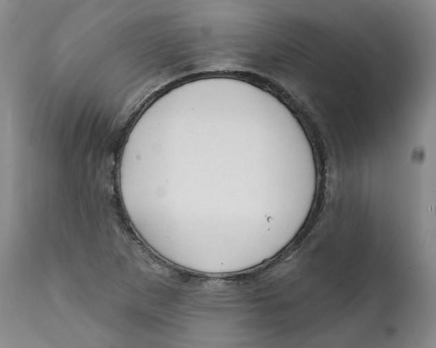 X0000112361265200909101247