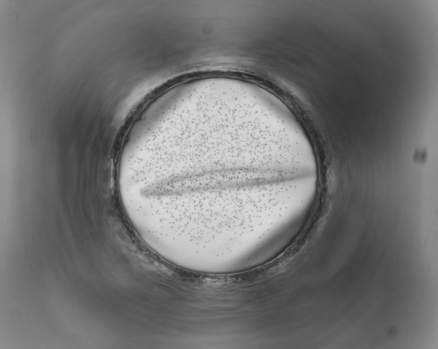 X0000112361267200909101247