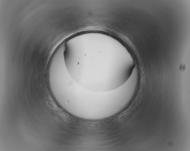 X0000112361268200909101247