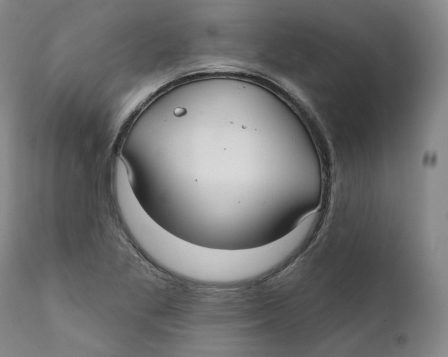 X0000112361269200909101247