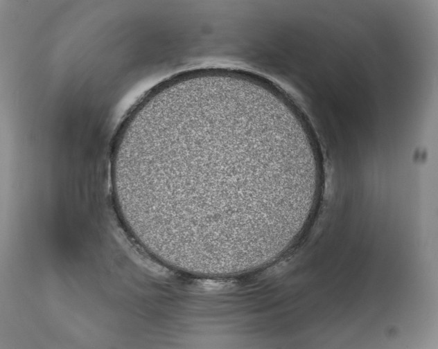 X0000112361271200909101247