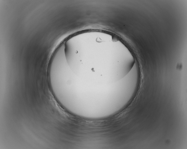 X0000112361272200909101247