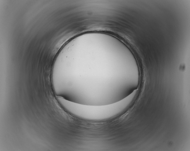 X0000112361273200909101247