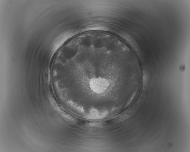 X0000112361274200909101247