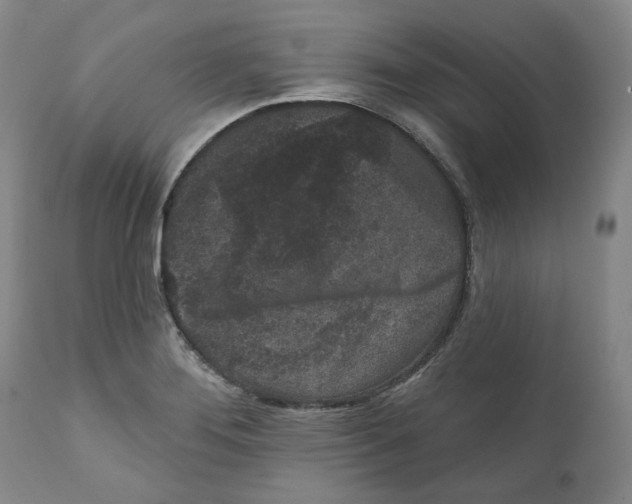 X0000112361276200909101247