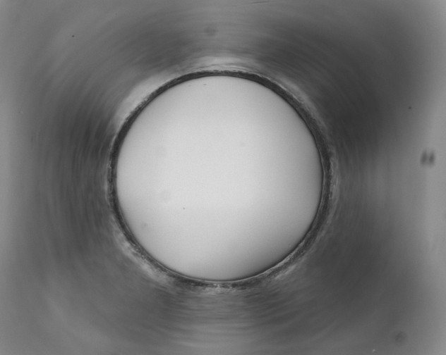 X0000112361277200909101247