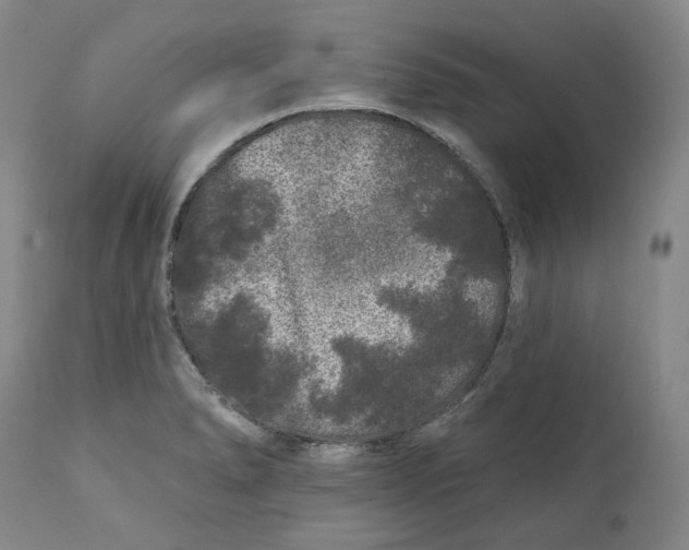 X0000112361278200909101247