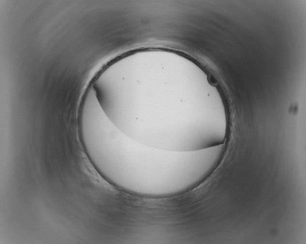 X0000112361280200909101247