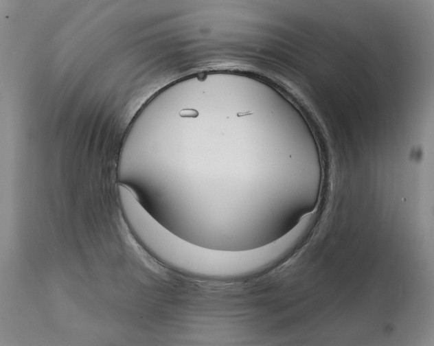 X0000112361281200909101247